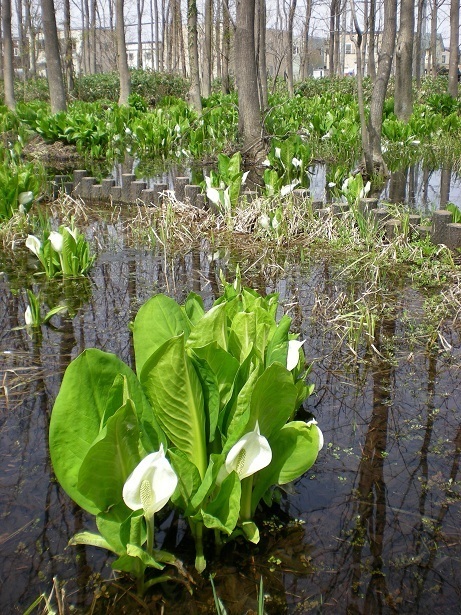 DSCN3586.JPG
