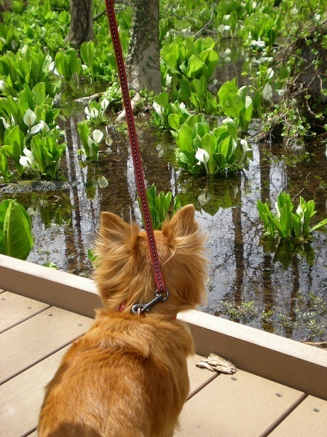 DSCN3587.JPG