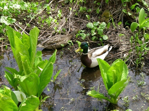 DSCN3596.JPG