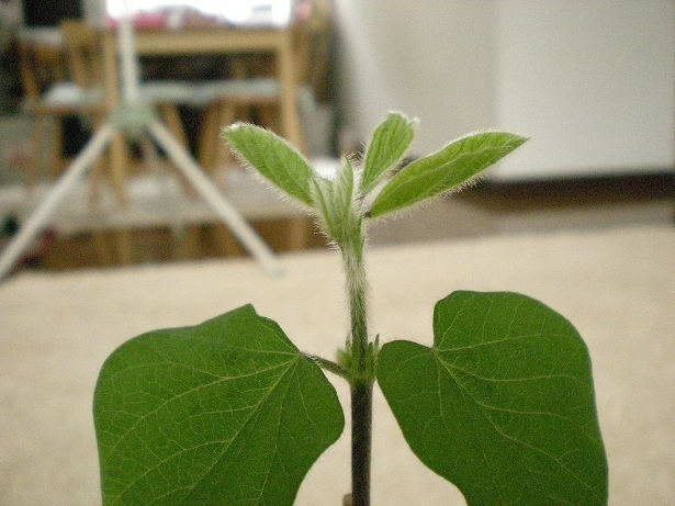 DSCN3682.JPG