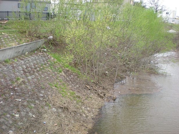 DSCN3731.JPG