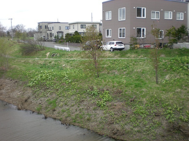 DSCN3733.JPG
