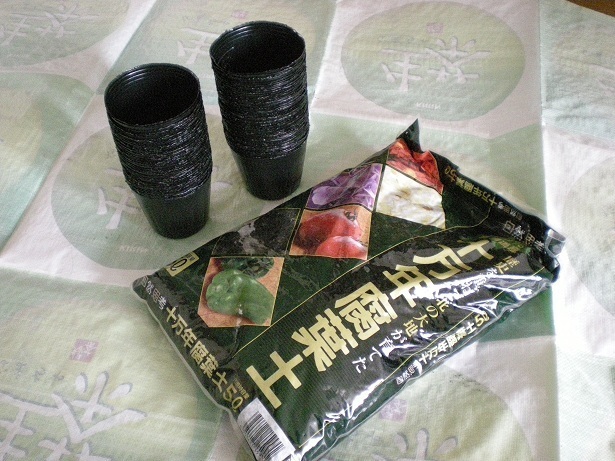 DSCN3736.JPG