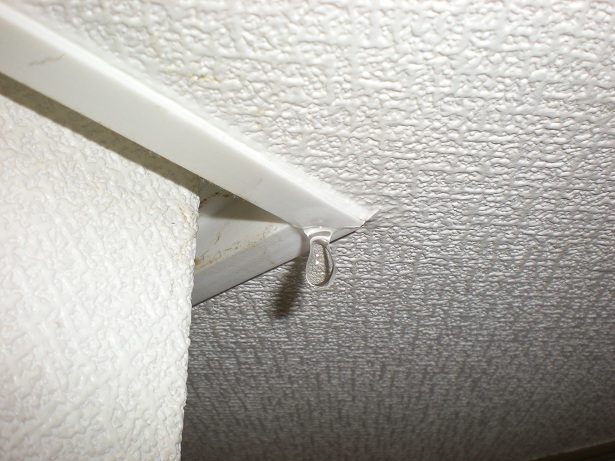 DSCN3758.JPG