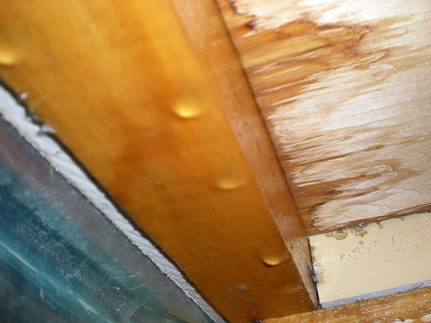 DSCN3793.JPG