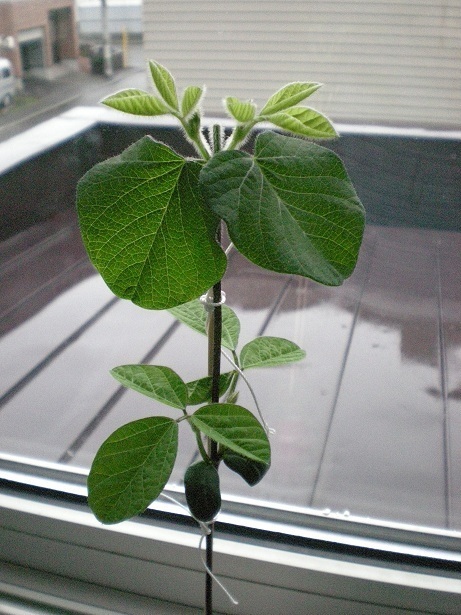 DSCN3807.JPG
