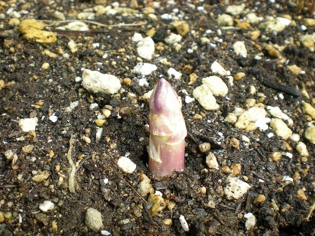 DSCN3836.JPG