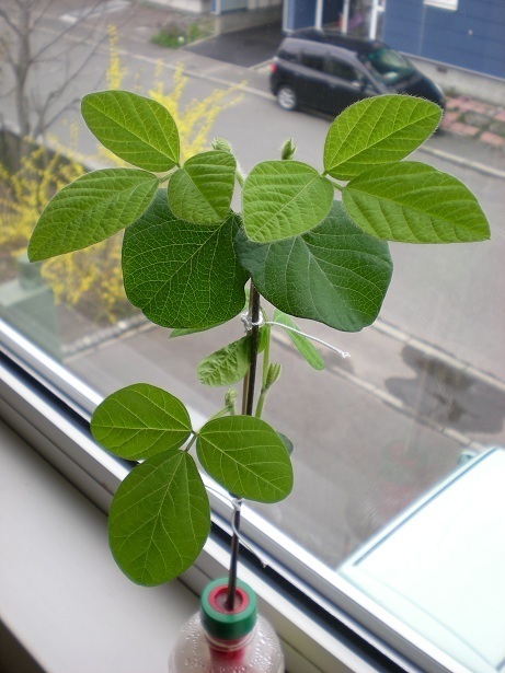 DSCN3848.JPG