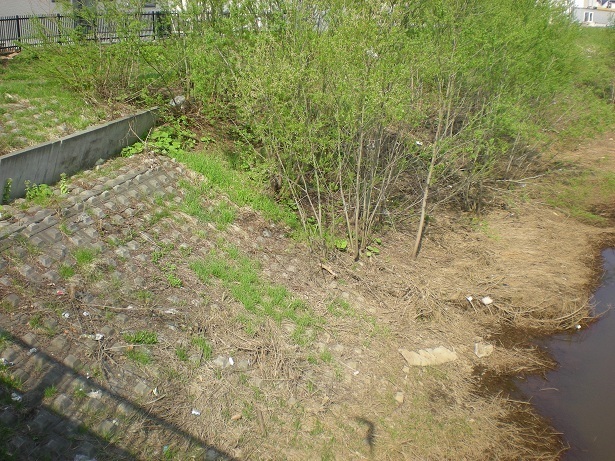 DSCN3864.JPG