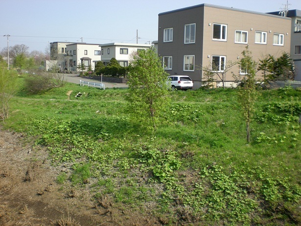 DSCN3865.JPG