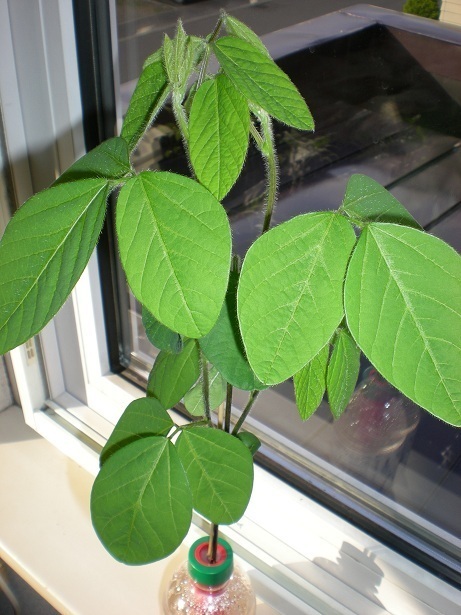 DSCN3917.JPG