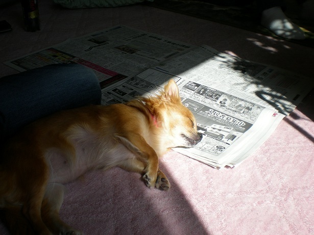 DSCN3950.JPG