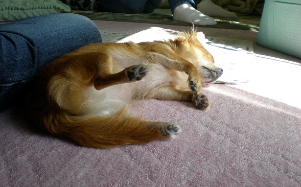DSCN4008.JPG