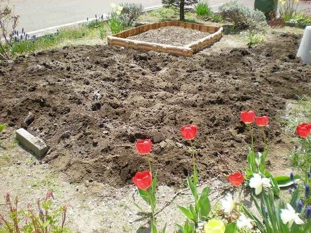 DSCN4021.JPG