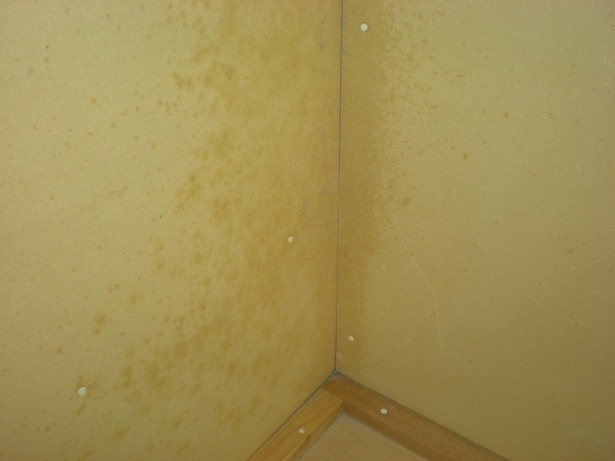 DSCN4071.JPG