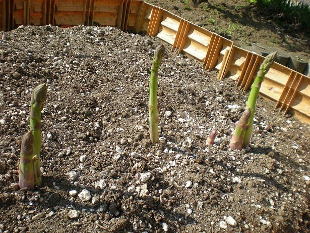 DSCN4108.JPG