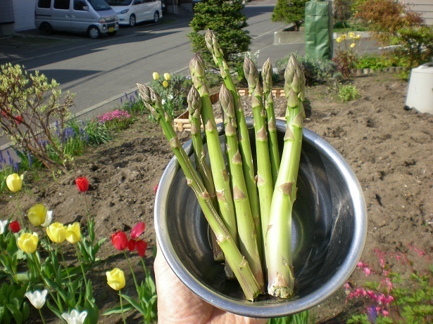 DSCN4112.JPG
