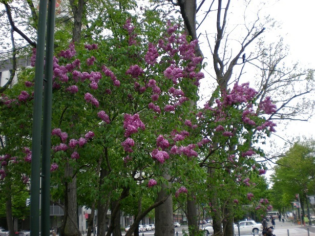 DSCN4152.JPG