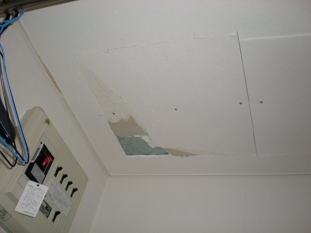 DSCN4210.JPG