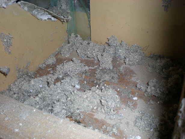 DSCN4250.JPG