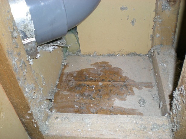 DSCN4251.JPG