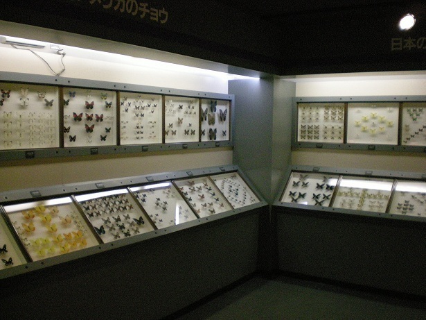 DSCN4275.JPG