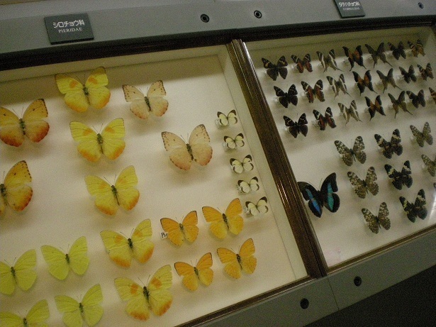 DSCN4276.JPG