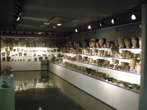 DSCN4289-1.JPG