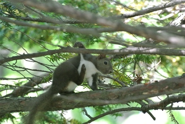 DSC_0295.JPG