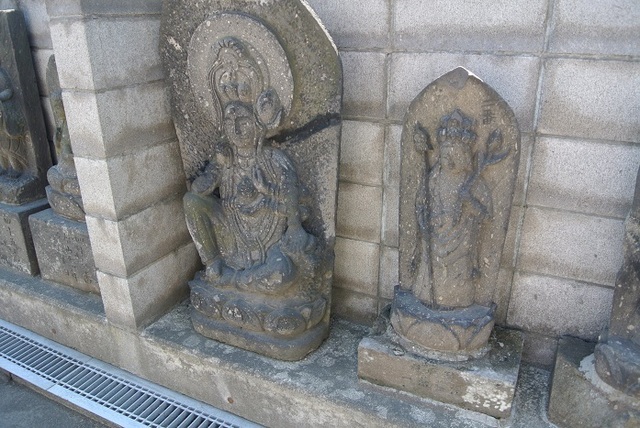 DSC_0490.JPG