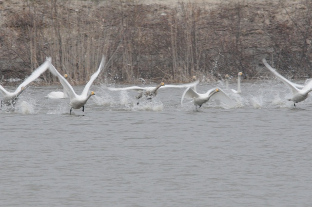 DSC_1200.JPG
