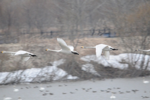 DSC_1207.JPG