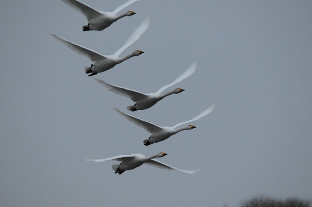 DSC_1279.JPG