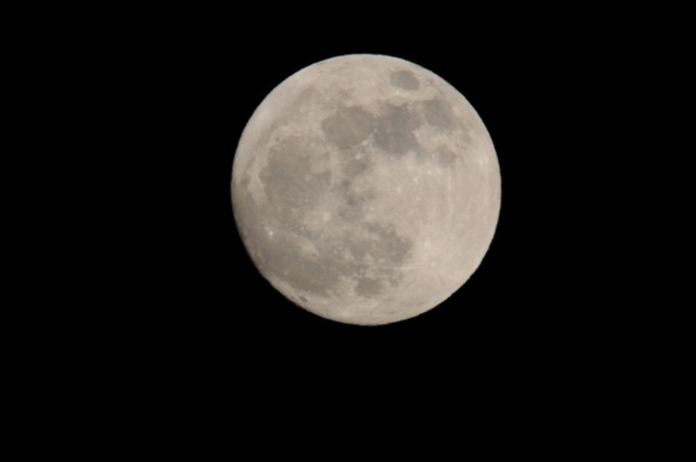DSC_1800-1.JPG