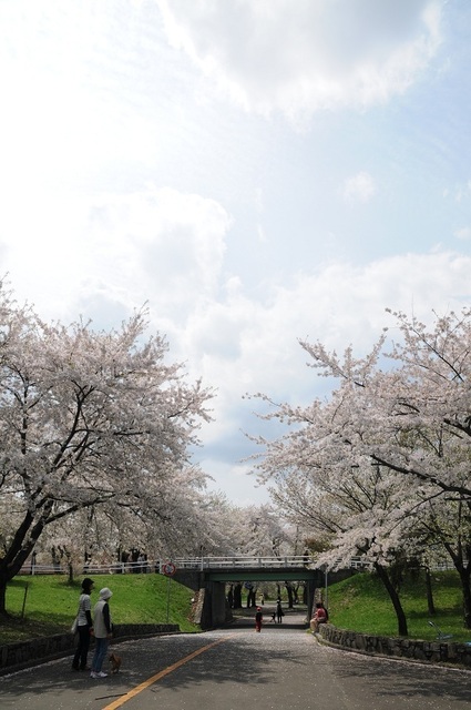 DSC_1880.JPG