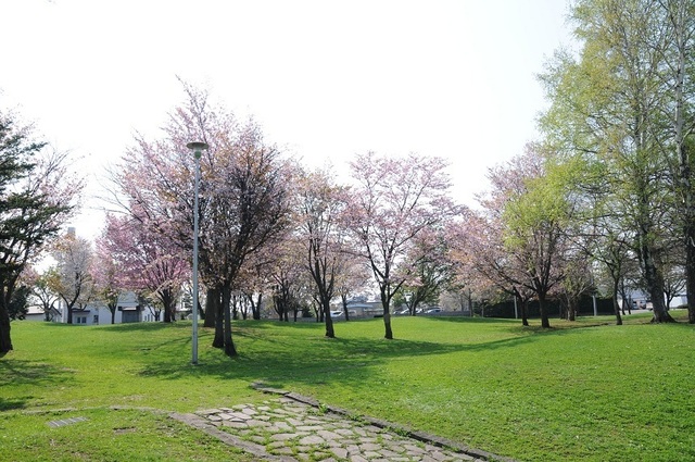 DSC_1897.JPG