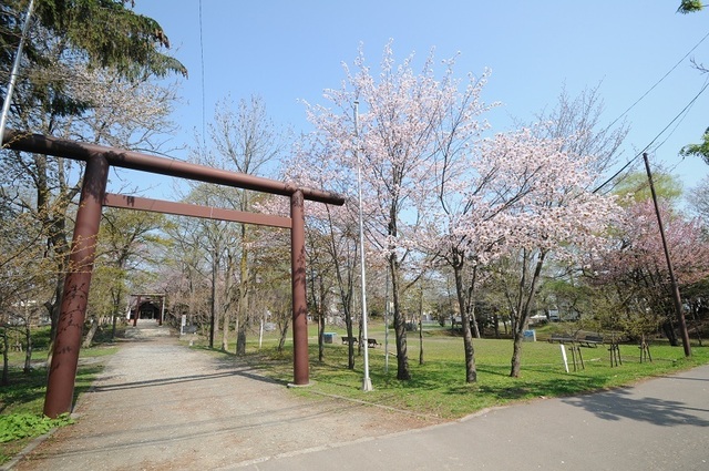 DSC_1902.JPG