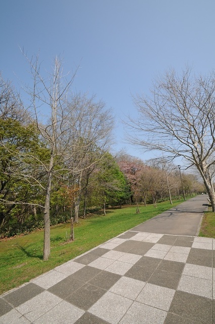 DSC_1906.JPG