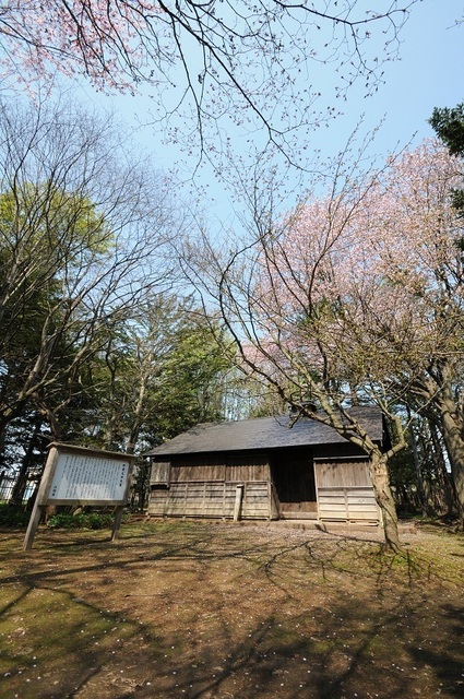 DSC_1907.JPG