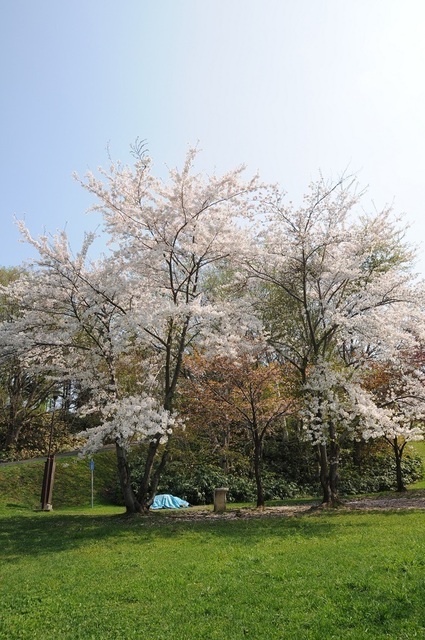 DSC_1911.JPG