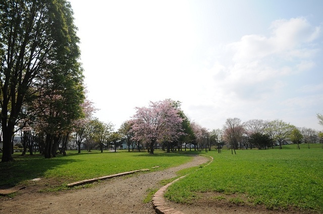 DSC_1916.JPG