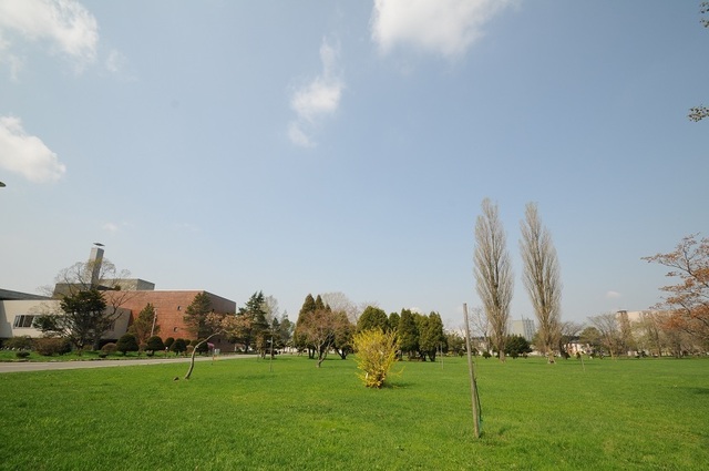 DSC_1917.JPG