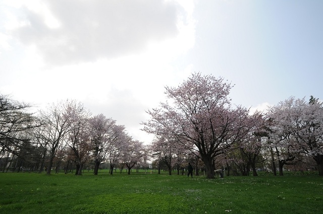 DSC_1920.JPG