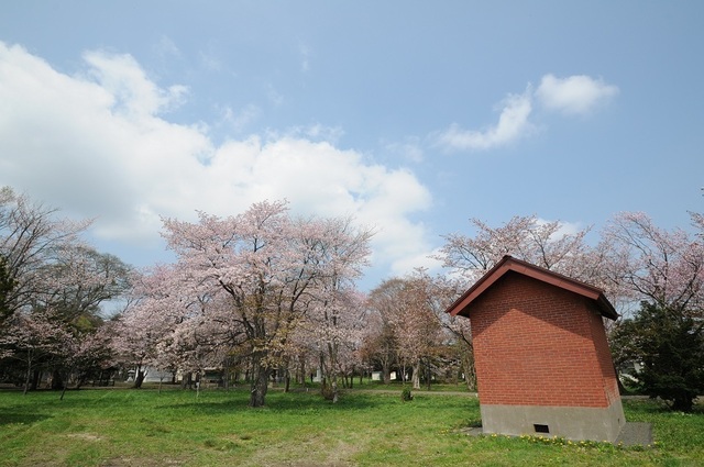 DSC_1931.JPG