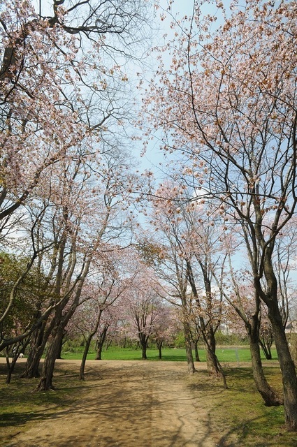 DSC_1951.JPG