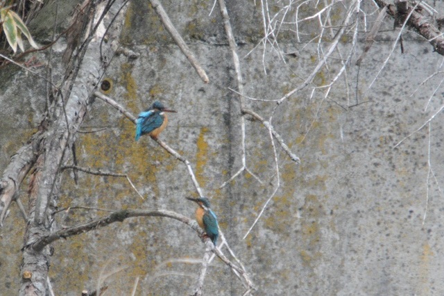 DSC_2002.JPG