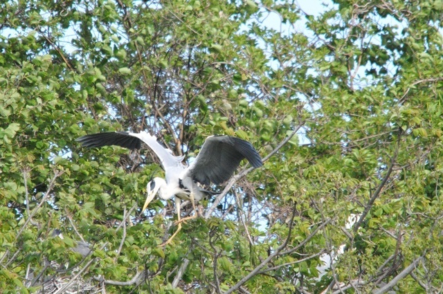 DSC_2405.JPG