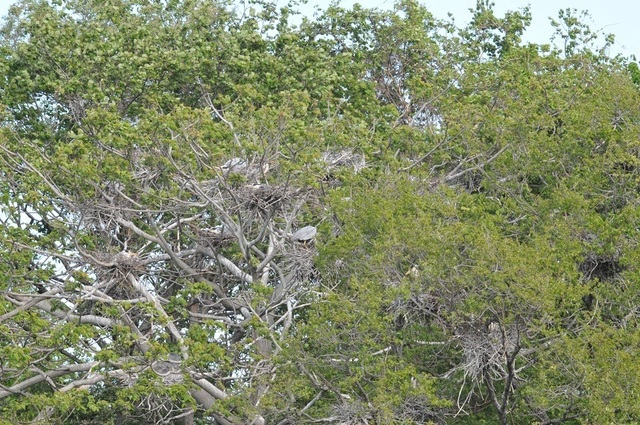 DSC_2406.JPG