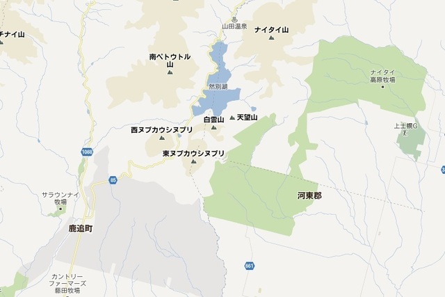 nabi001.jpg