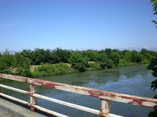 CSC_1514.JPG